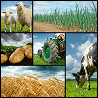 Agricultura